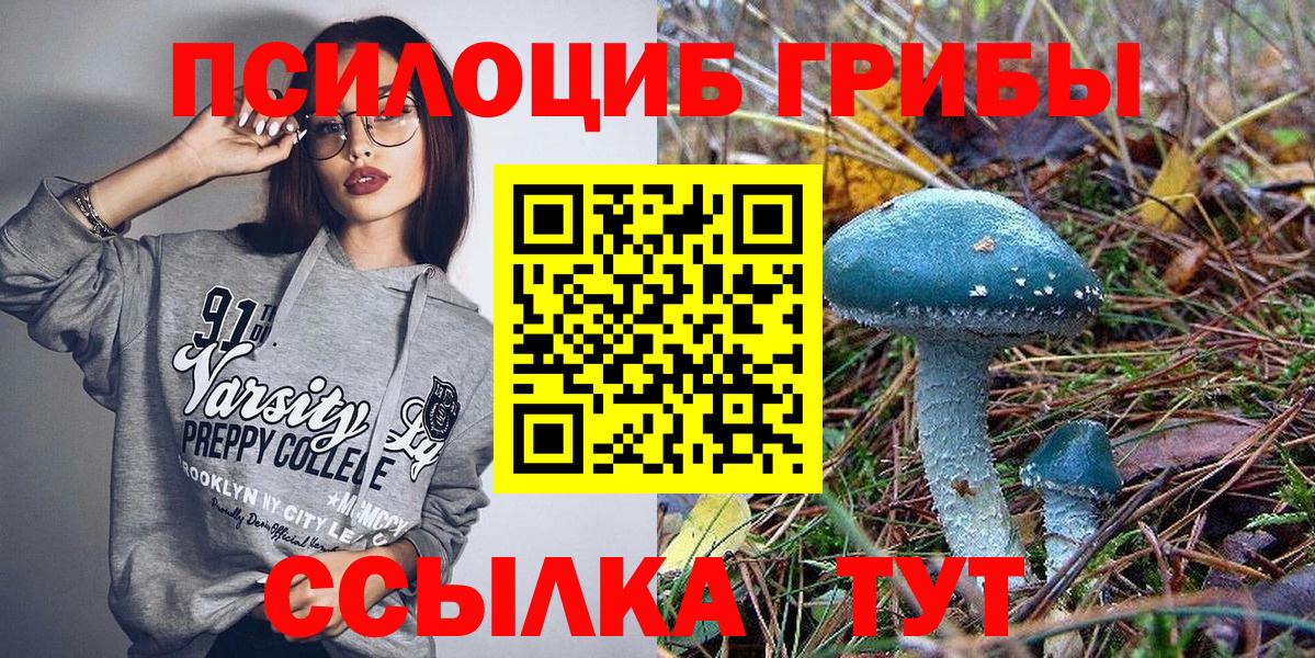 Галлюциногенные грибы Шебекино