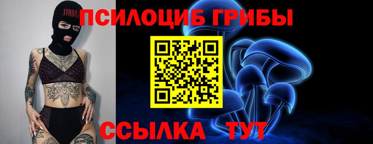 Шебекино  Галлюциногенные грибы MAGIC MUSHROOMS  Вход с VPN 